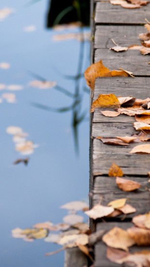 Autumn Leaves On Wooden Bridge