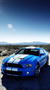 Blue Ford Shelby