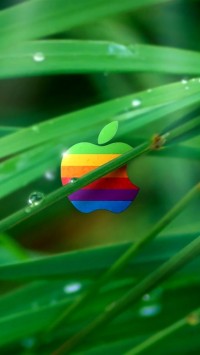 Color Apple In Grass