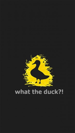 What The Duck