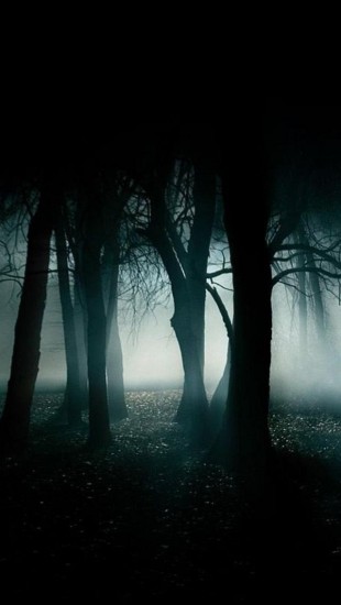 Best Dark Forest
