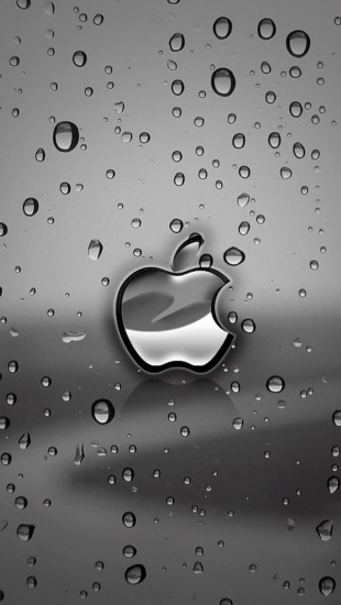 Apple Wet Screen