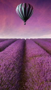 Air Balloon Above Lavender Field