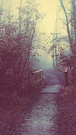 Autumn Mist Path
