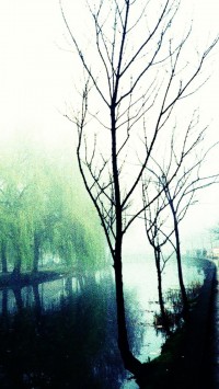 Lomo Graphy Misty Canal