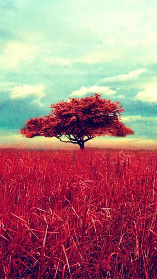 Red Tree Scene