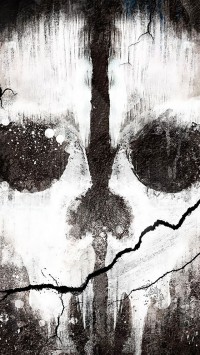 Call Of Duty Ghosts Skull Maxi Poster
