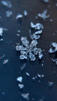 Unique and Beautiful Snowflakes
