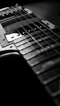 Gibson Guitar Black and White