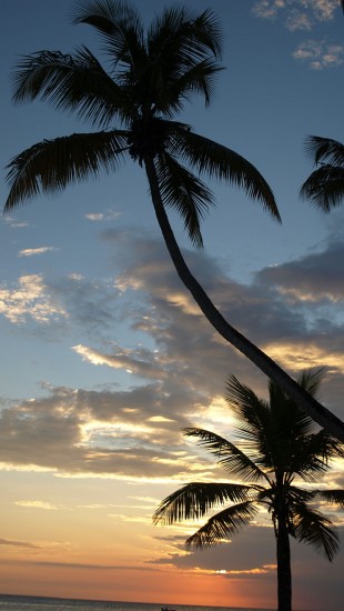 caribbean beach sunset