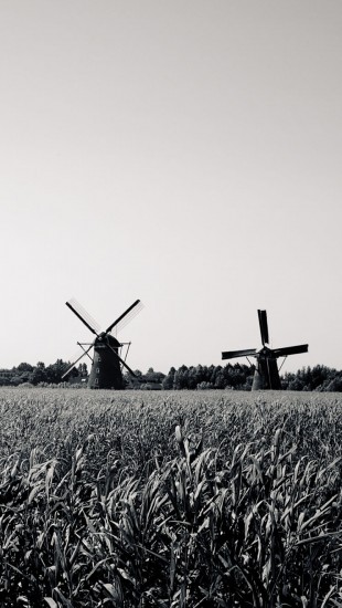 Traditional windmills