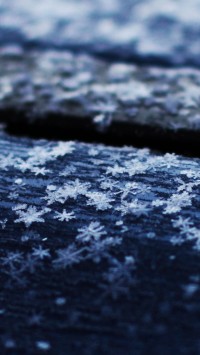 Snowflakes on the Roof