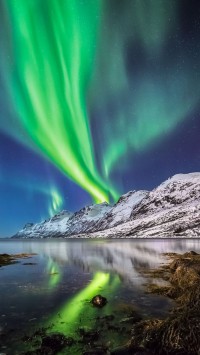 Aurora-Borealis-in-Norway-200x355