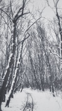 Falling-snow-in-a-winter-park-200x355