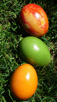 Three Easter Green Eggs