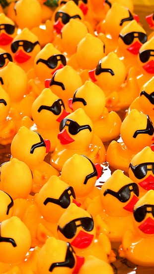 Rubber Ducks - The iPhone Wallpapers