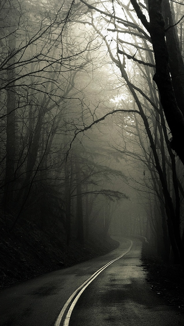 Dark Road Forest - The iPhone Wallpapers