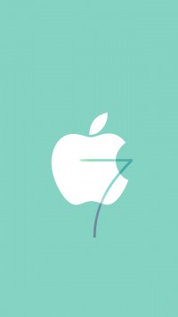 iPhone 5 iOS 7 Apple