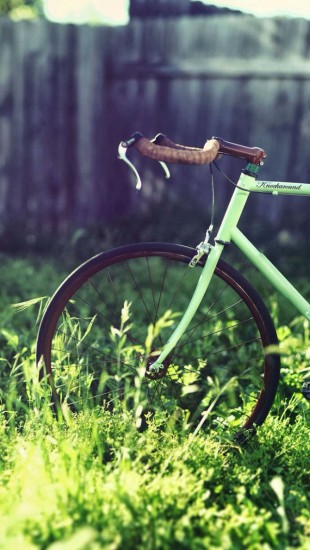 Bicycle On The Grass