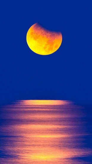Yellow Moon Sea