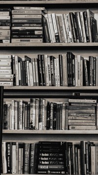 Library books shelf