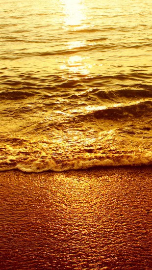 Sea Wave in Sunset