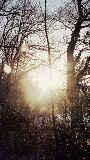 Glorious Winter Sun