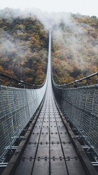 amazing-bridge